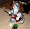 /album/fotogaleria-imagenes-divertidas/gato-rockero-jpg/